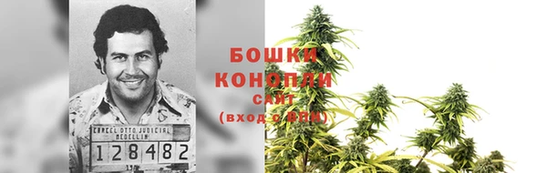 твердый Аркадак