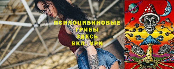 экстази Арсеньев