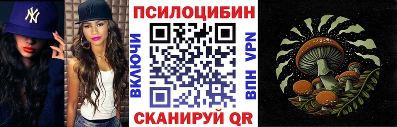 где можно купить наркотик  Суровикино  Галлюциногенные грибы Magic Shrooms 
